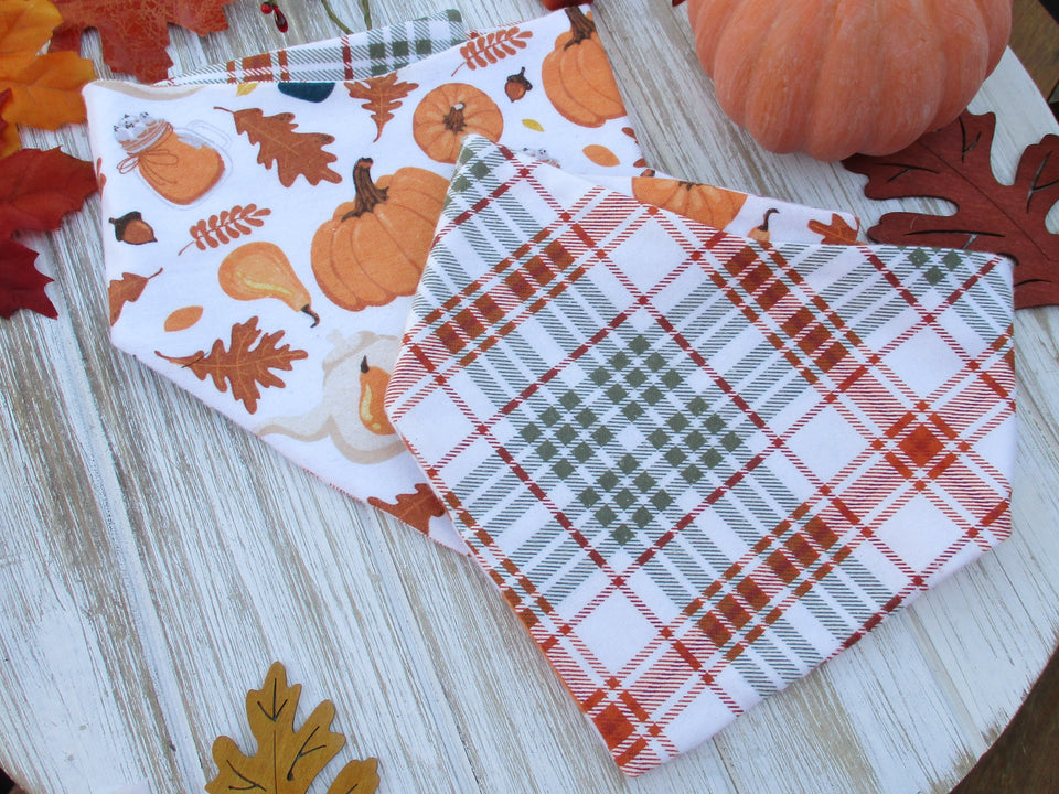 Fall Pumpkins Bandana