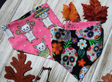 Load image into Gallery viewer, Mariachi/Skull &quot;Calavera&quot;  Bandana
