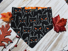 Load image into Gallery viewer, Glow-in-the-Dark - Cats Bandana
