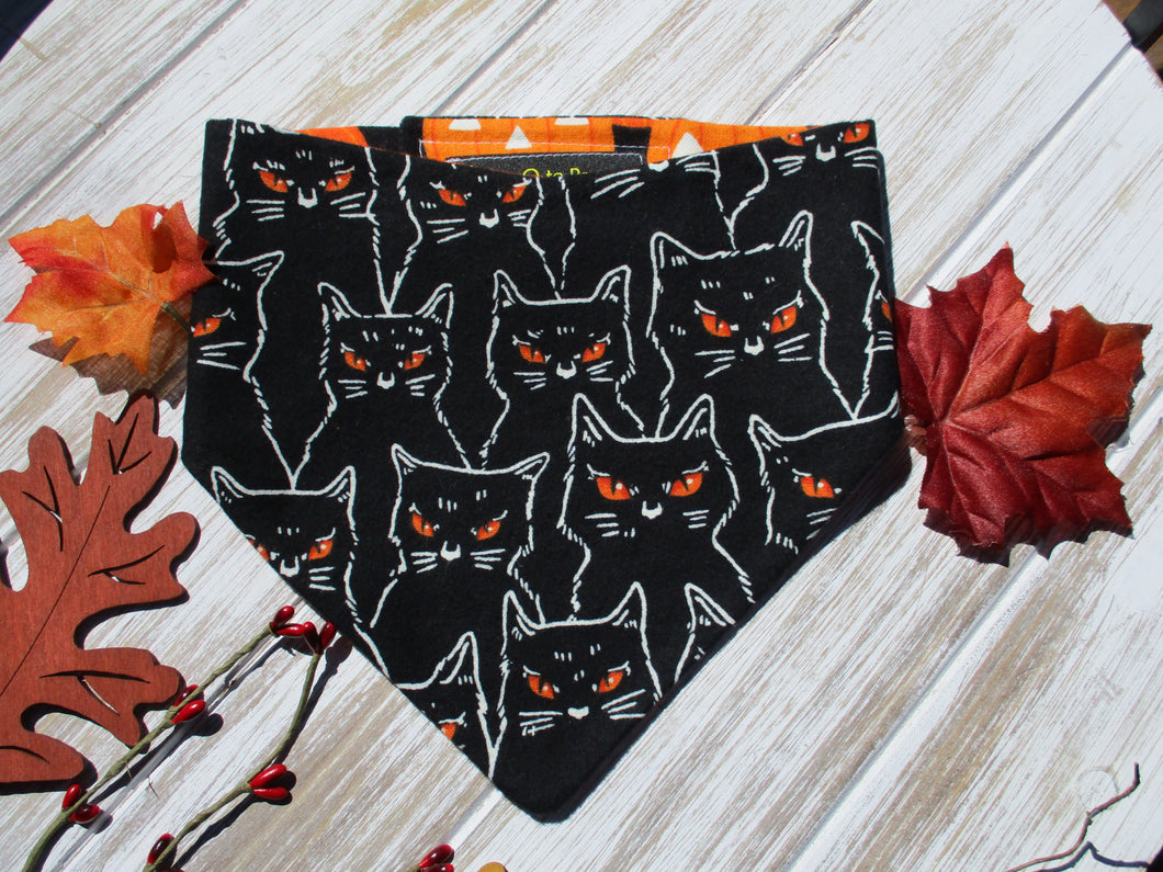 Glow-in-the-Dark - Cats Bandana