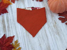 Load image into Gallery viewer, Fall Scarecrow on Farm Harvest Bandana
