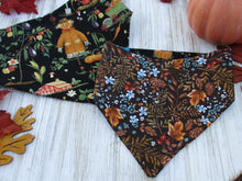 Load image into Gallery viewer, Garden Scarecrow Bandana
