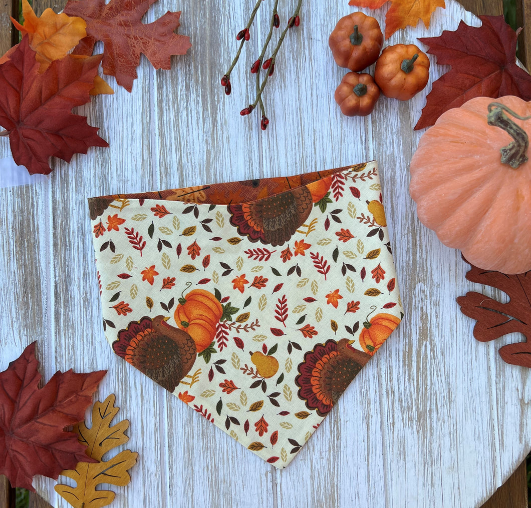 Turkeys & Pumpkins Bandana