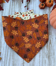 Load image into Gallery viewer, Turkeys &amp; Pumpkins Bandana
