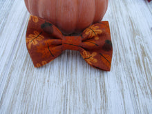 Load image into Gallery viewer, Harvest Leaf&#39;s Bow Tie
